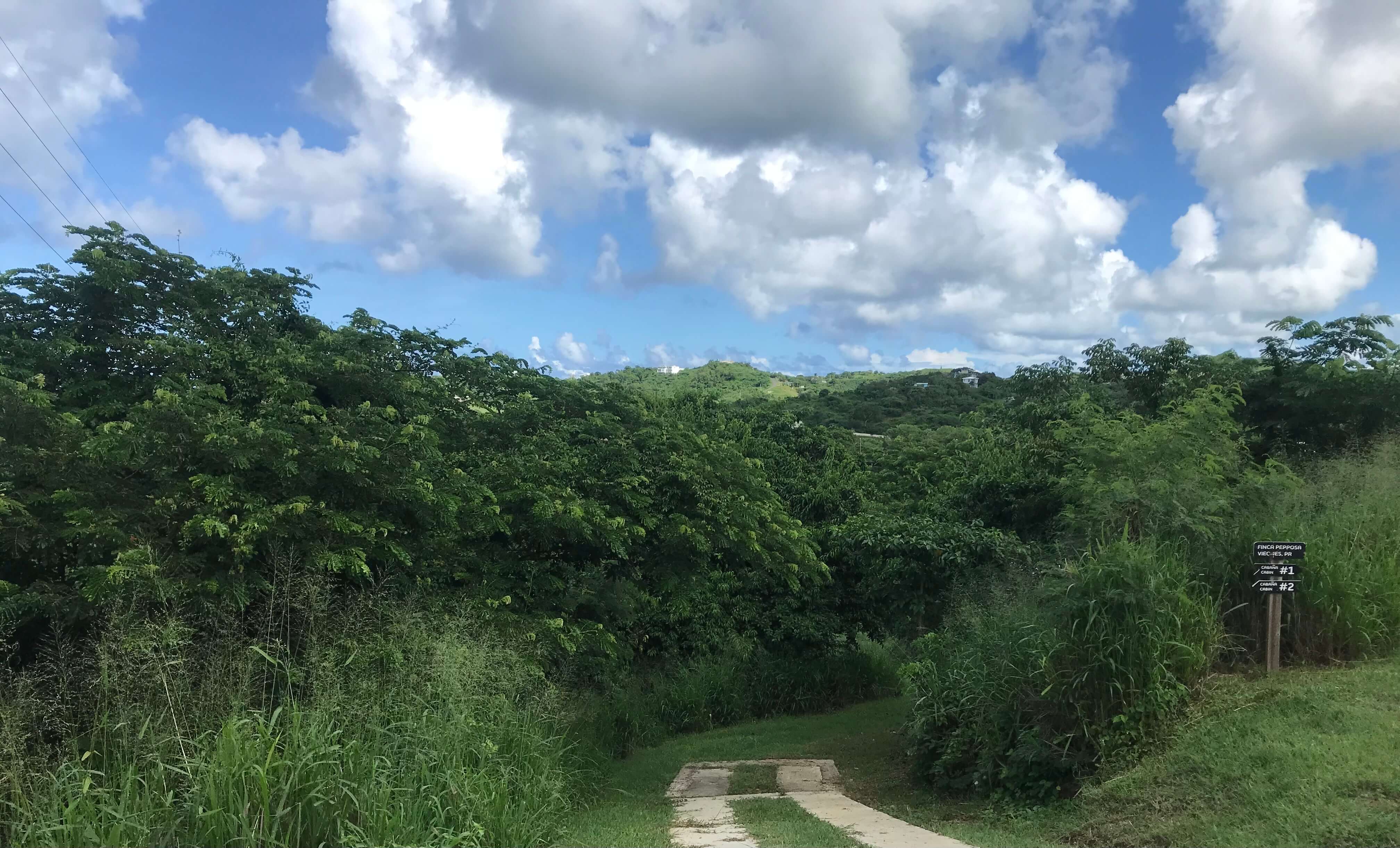 View of Finca Pepposa